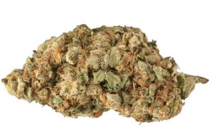 Bulk Pineapple Trainwreck | 28g