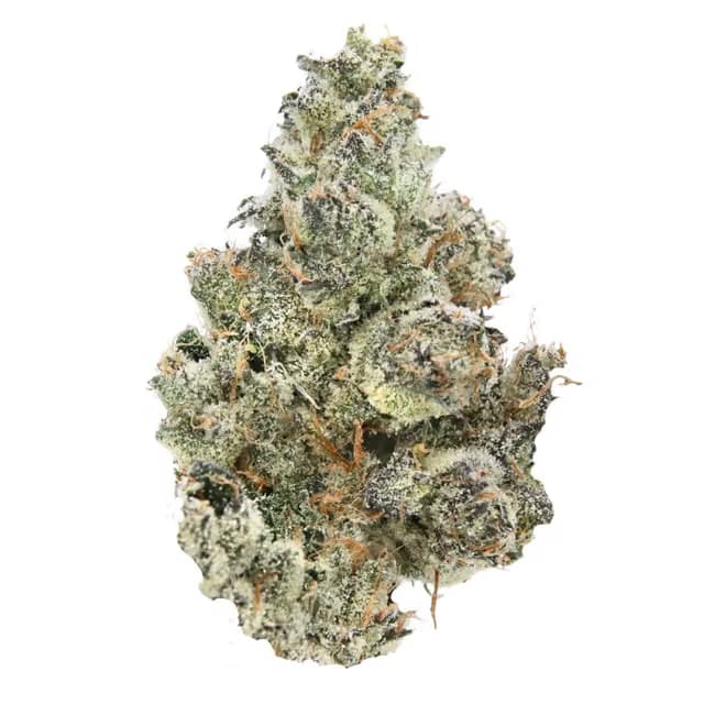 Sense Bubblegum | 3.5g