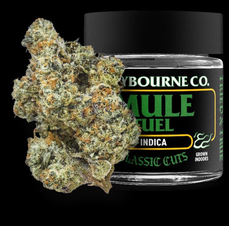 Claybourne Co. Claybourne Co. Classic Cuts Mule Fuel