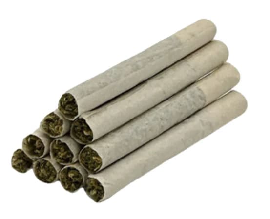 TRYGG 10 x 0.4g Hawaiian Punch Pre-Rolls