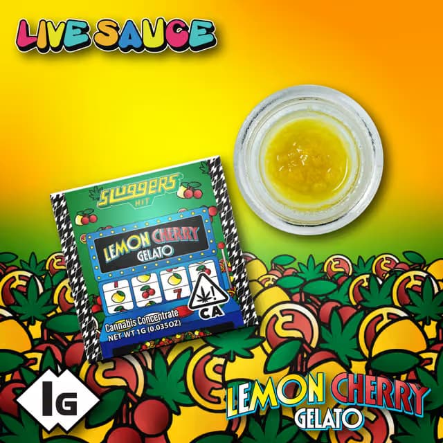 SLUGGERS HIT Lemon Cherry Gelato | 1g Live Sauce