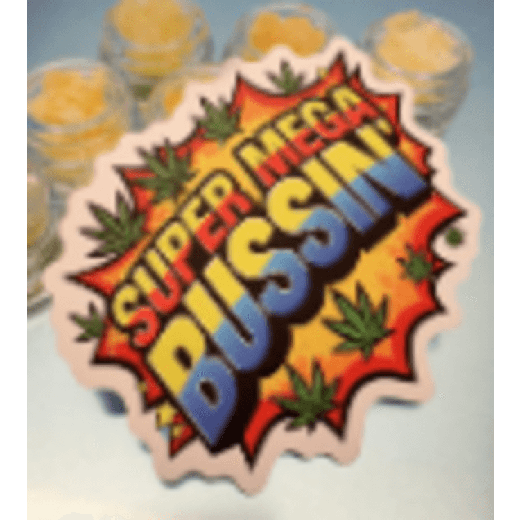 Super Mega Bussin