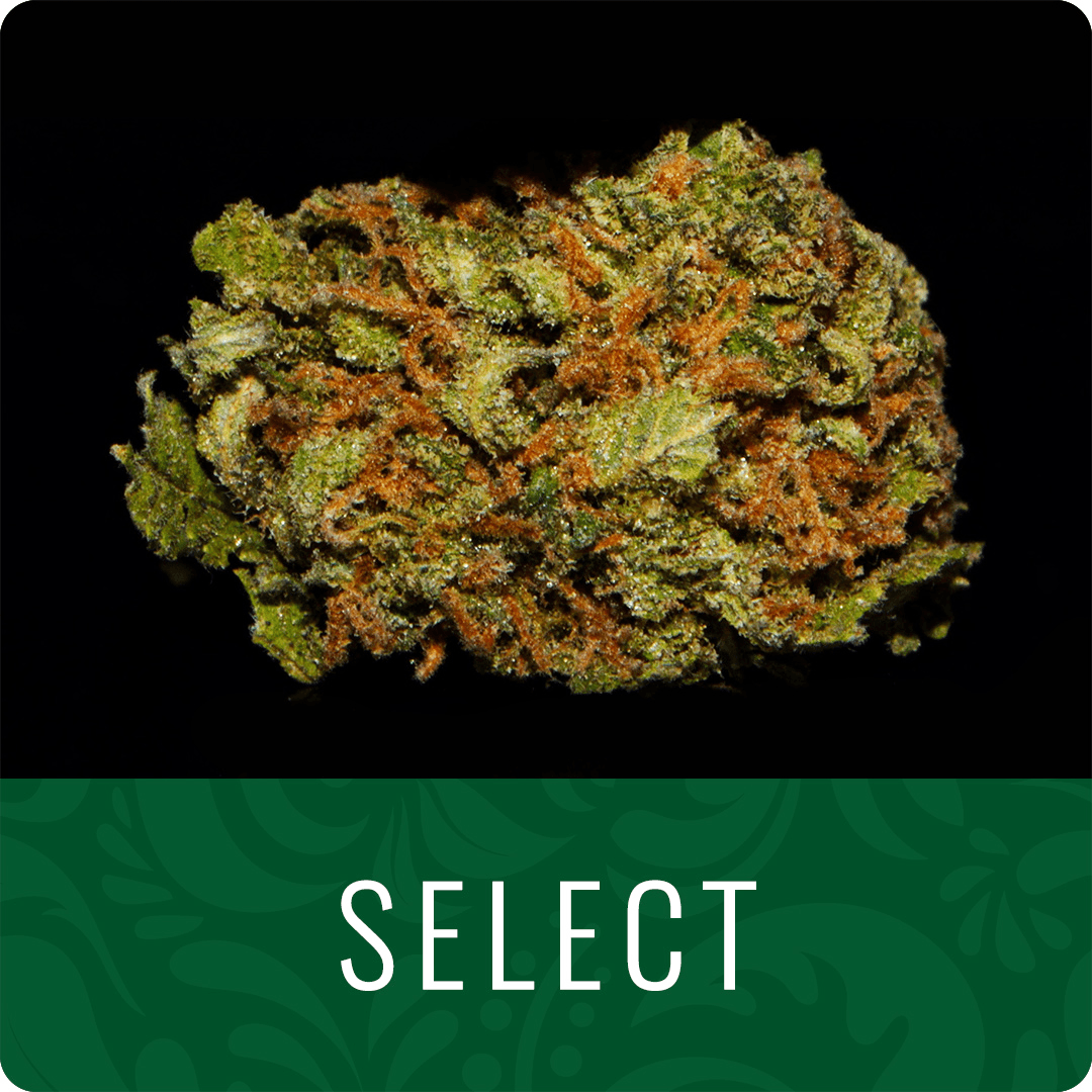 Westpine Selects Orange Herijuana