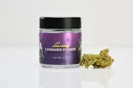 LP Exotics Dosi Boof