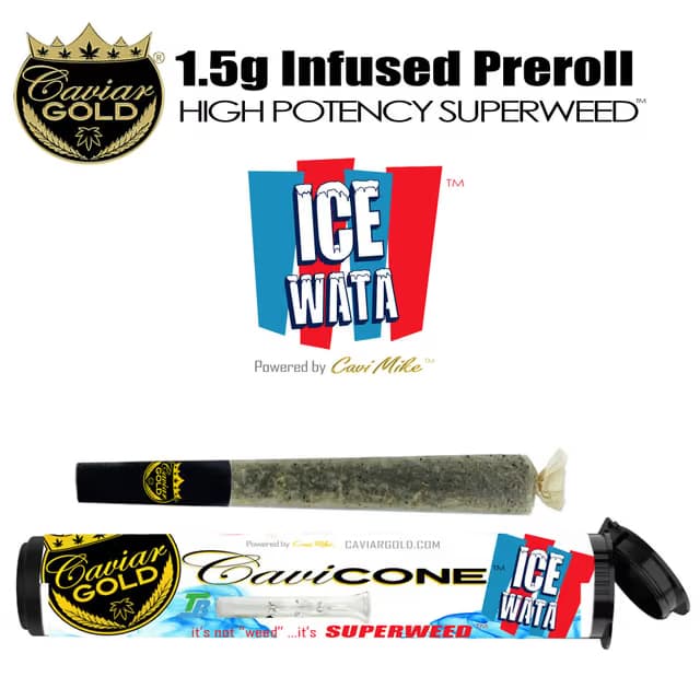 CAVIAR GOLD