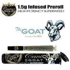 CAVIAR GOLD