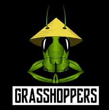Grasshopper Lemon Cherry | 1g Diamond Infused Pre-Roll