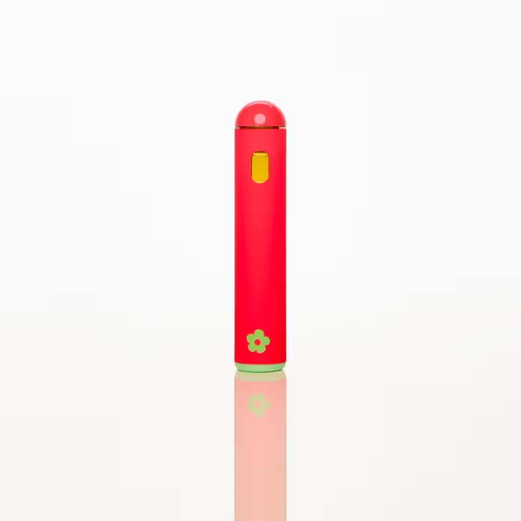 Edie Parker Lemon Watermelon