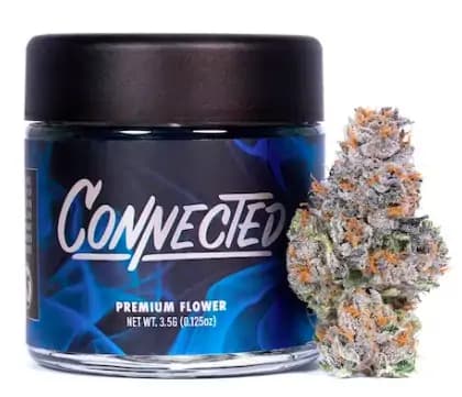 CONNECTED Gelato 41