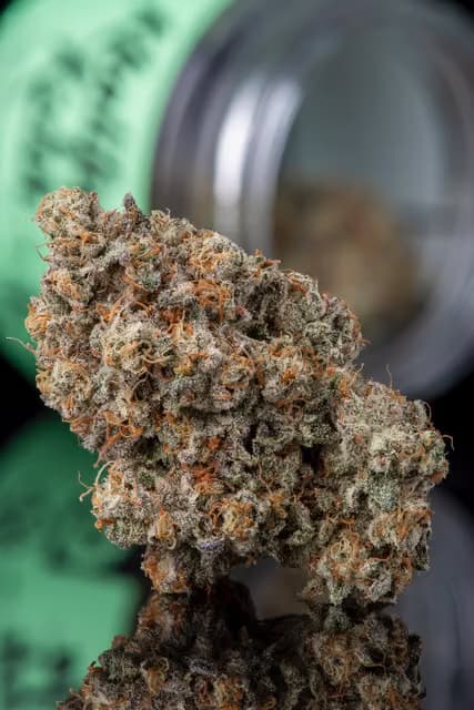 Khalifa Kush Khalifa Mints 3.5G