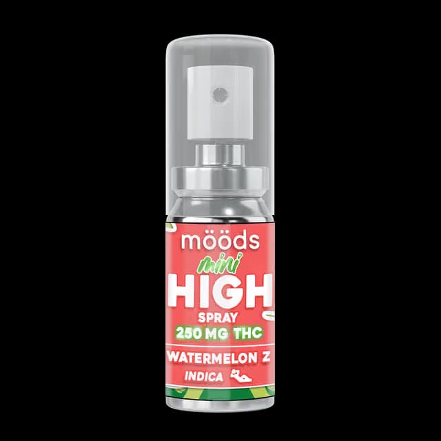 MOODS Watermelon Z Mini | 250mg Spray