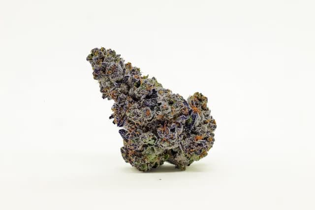 Lumpy's Flowers