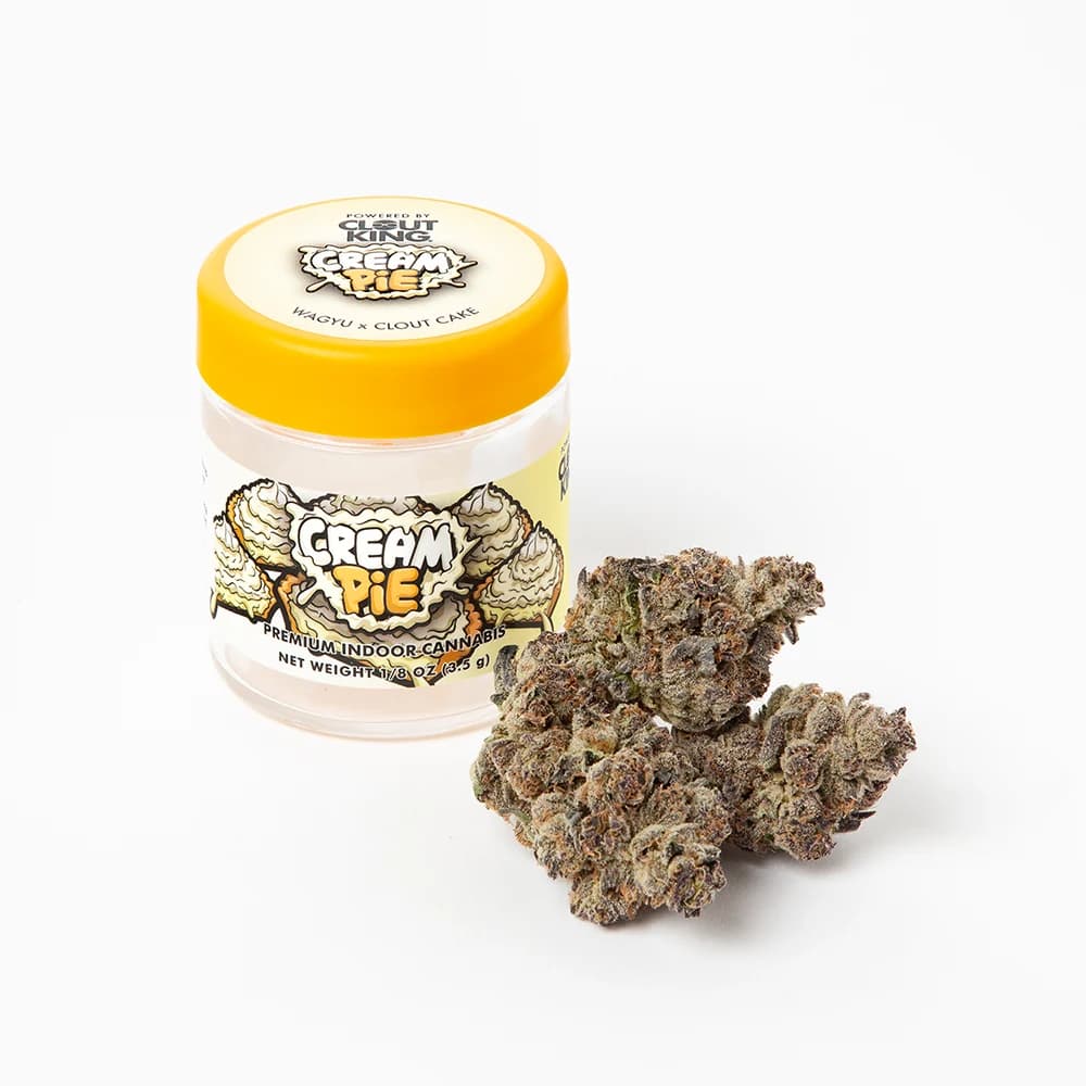 Clout King Clout King Cream Pie (H) Flower 3.5g