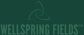 Wellspring Fields Wellspring Fields | Campfire 10pc | 110mg RSO Infused Chocolate Bar