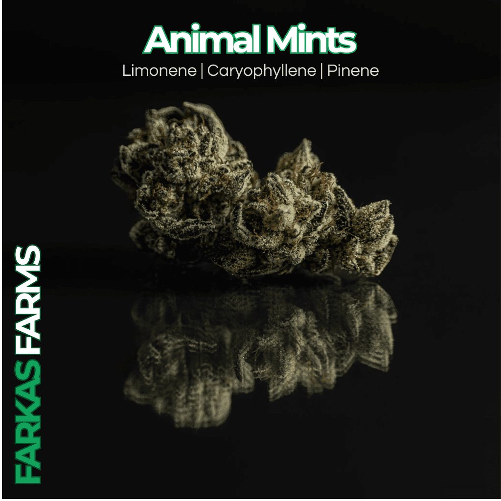 Farkas Farms Animal Mints
