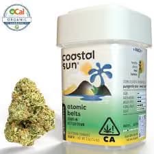 Coastal Sun Atomic Belts | 3.5g