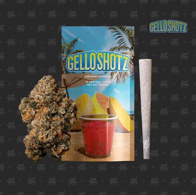 Seed Junky Gello Shotz - 4pk