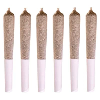 Station House Jack Herer Pre-Roll - 1x0.5g