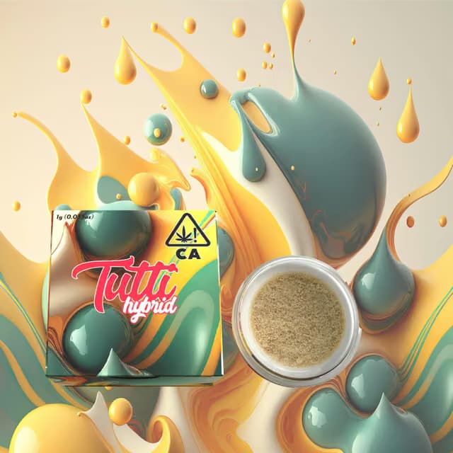 Tutti Grape Gas | 1g Live Hash