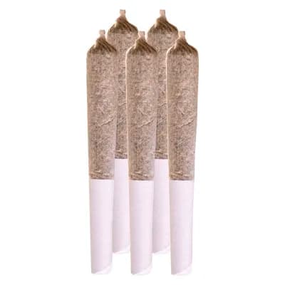 Station House Station House Blue Dream Prerolls 5x0.5g