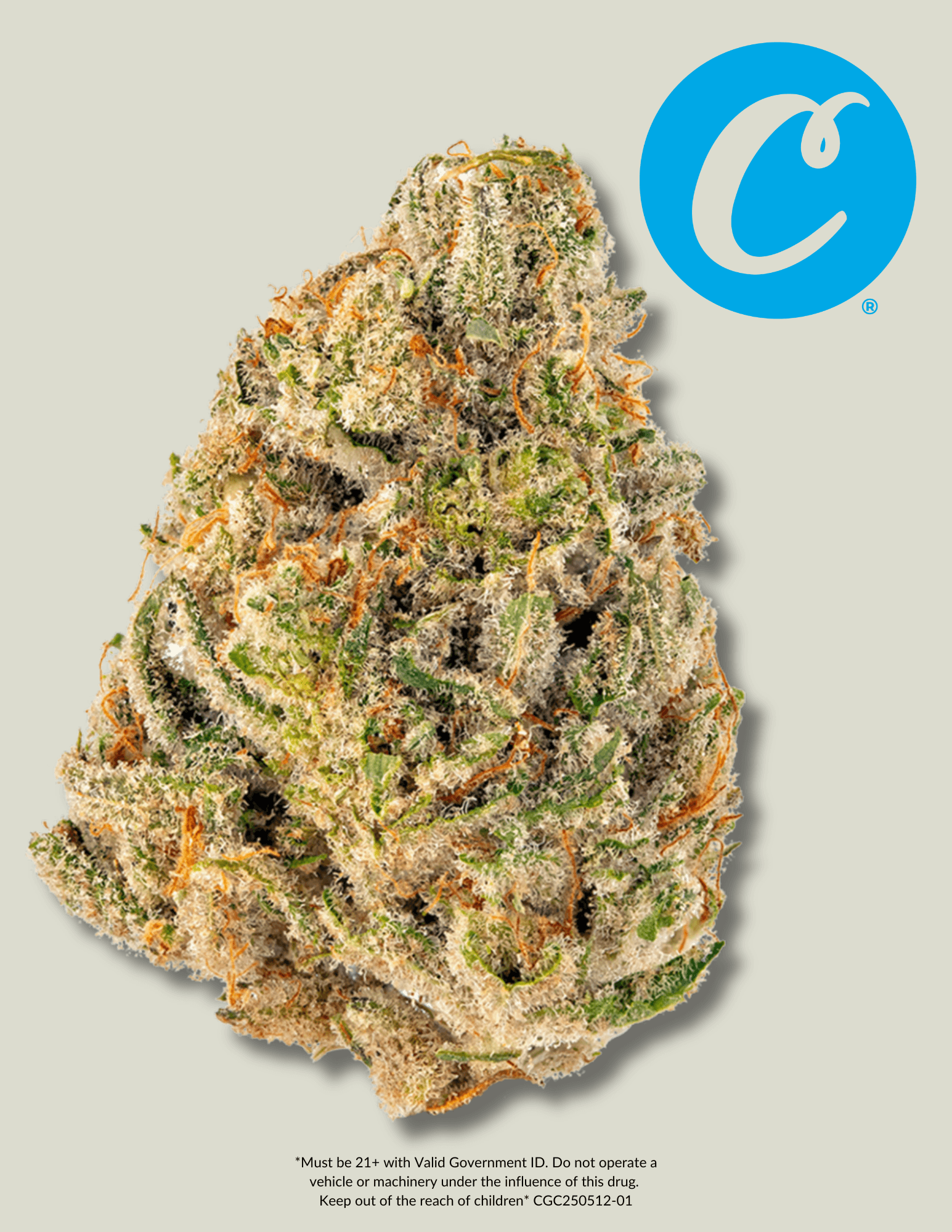 Cookies Cheetah P