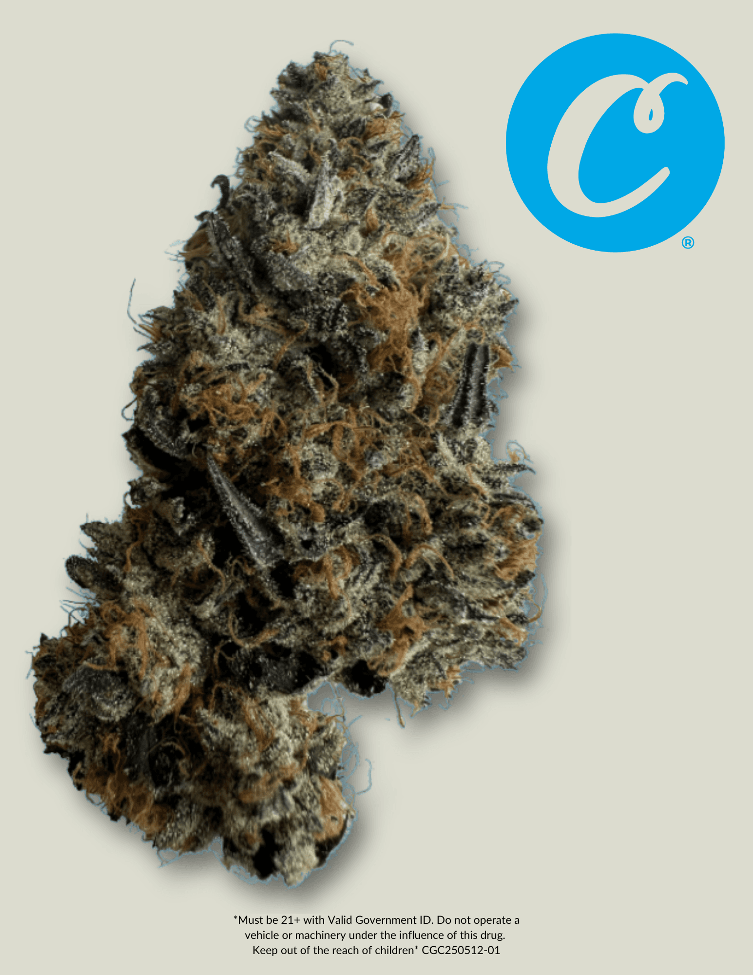 Cookies Triple Scoop