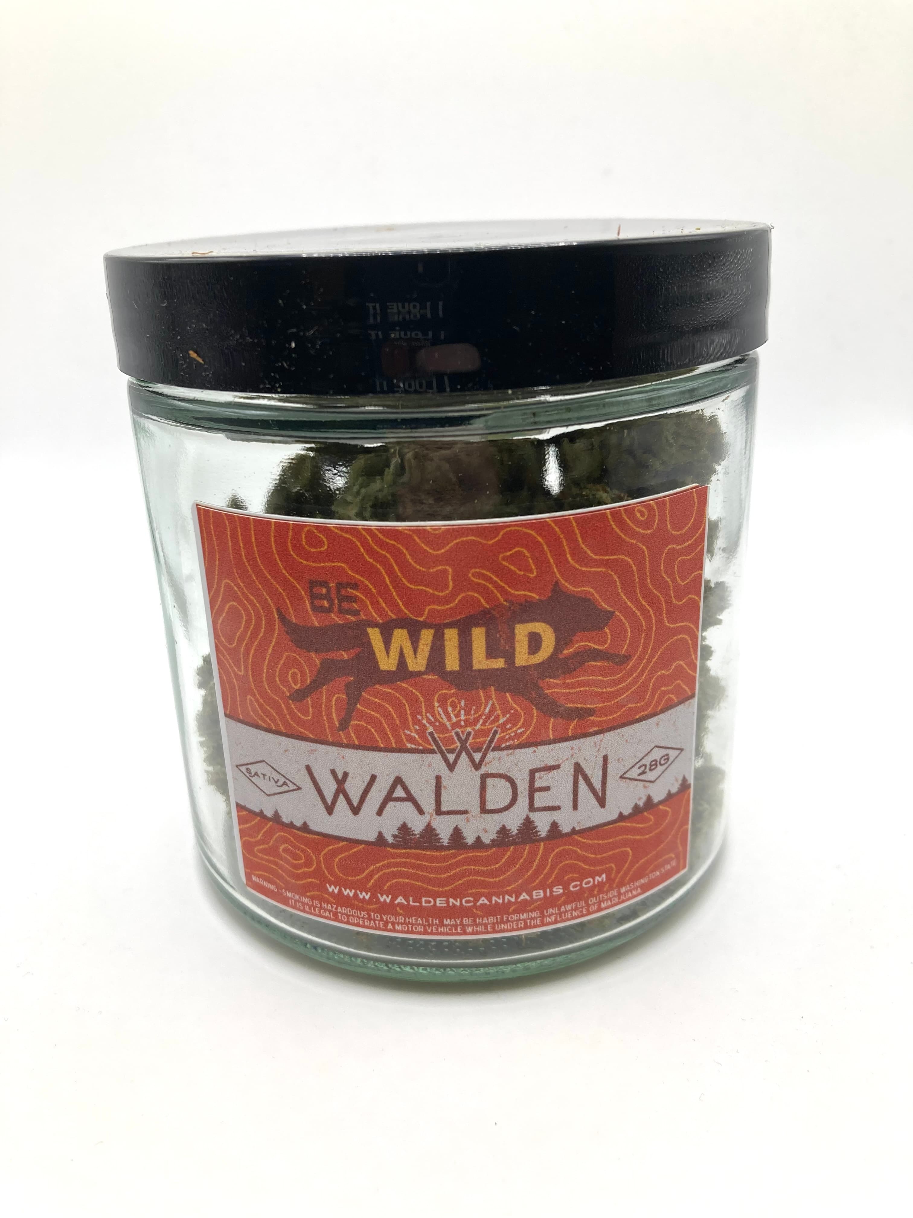 Walden Jack 47 28g Walden