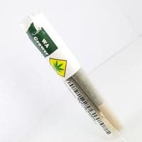 WA Grower Blue Dream 0.5g X 2 Preroll WA Grower