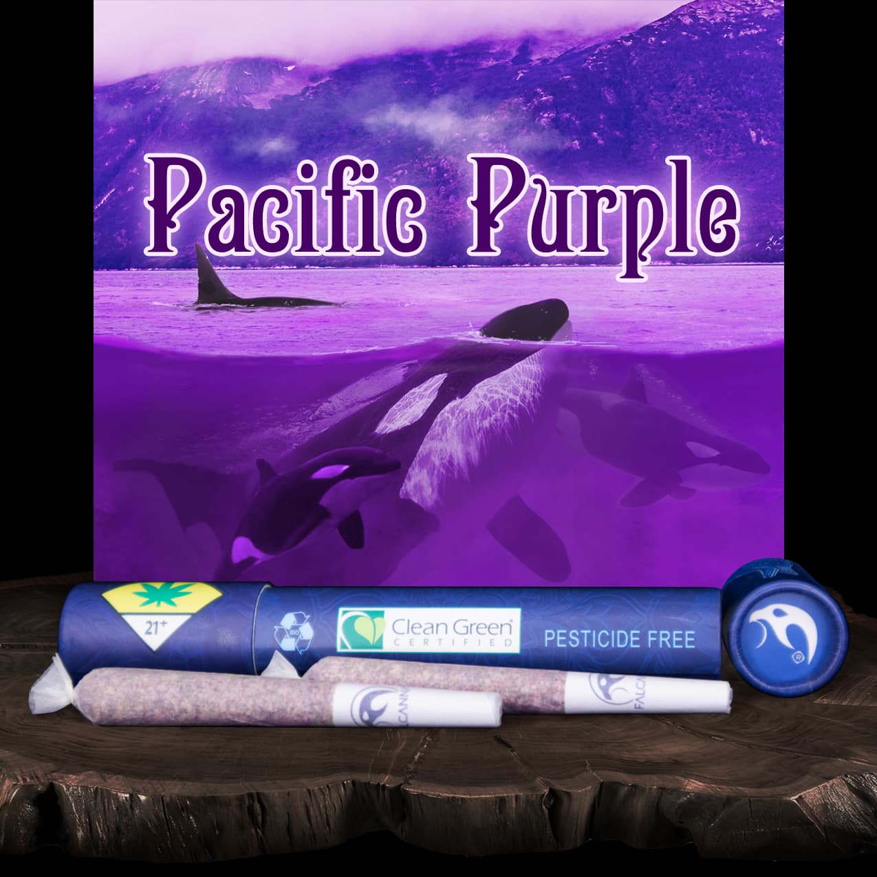 Falcanna Pacific Purple Pre-Roll 2-pack | 1.2g