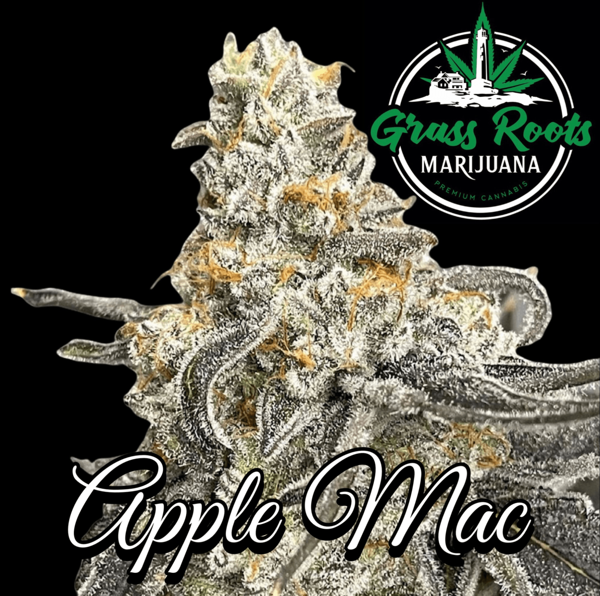 Grass Roots Marijuana Flower
