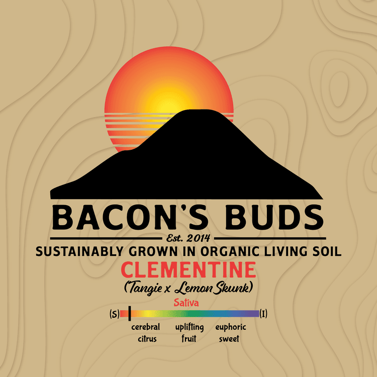 Bacon's Buds