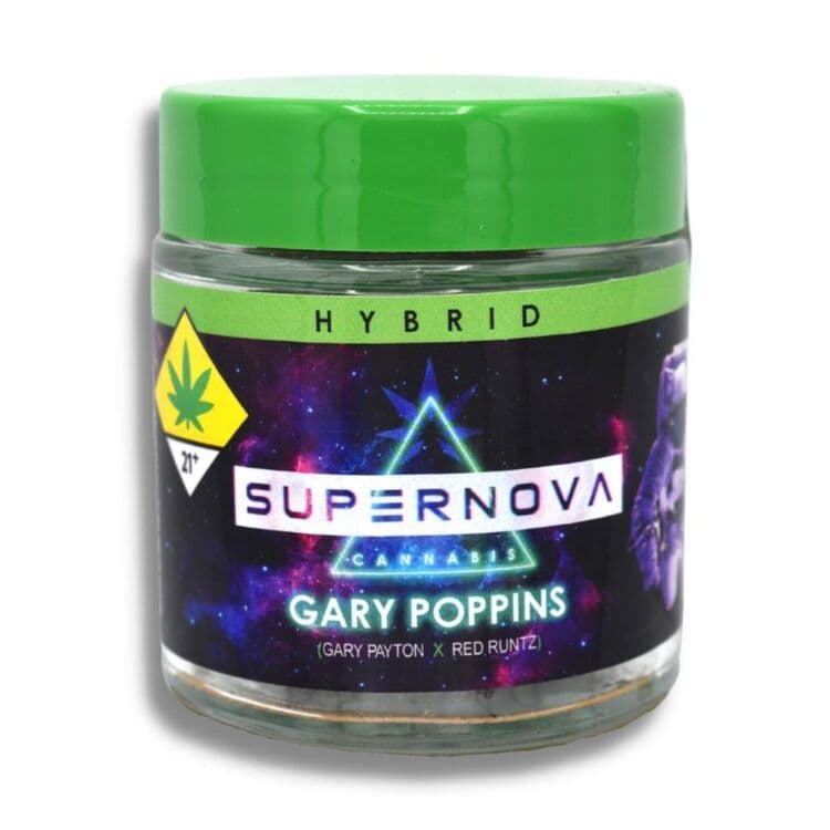 Supernova Supernova: Gary Poppins