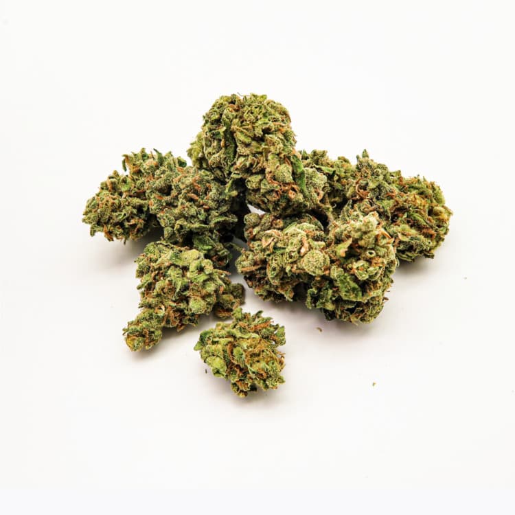 Green Herb Cannabis Green Herb Cannabis: Oreoz