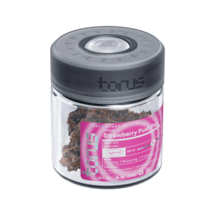 Torus Strawberry Push Pop Flower (Torus)
