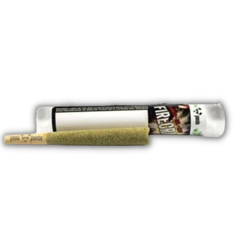 Firecracker GSC - IPR