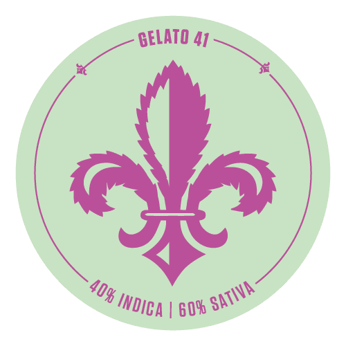 Royal Tree Royal Tree: Gelato 41 (I/H)