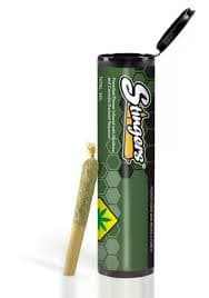 Stingers Cinderella 99