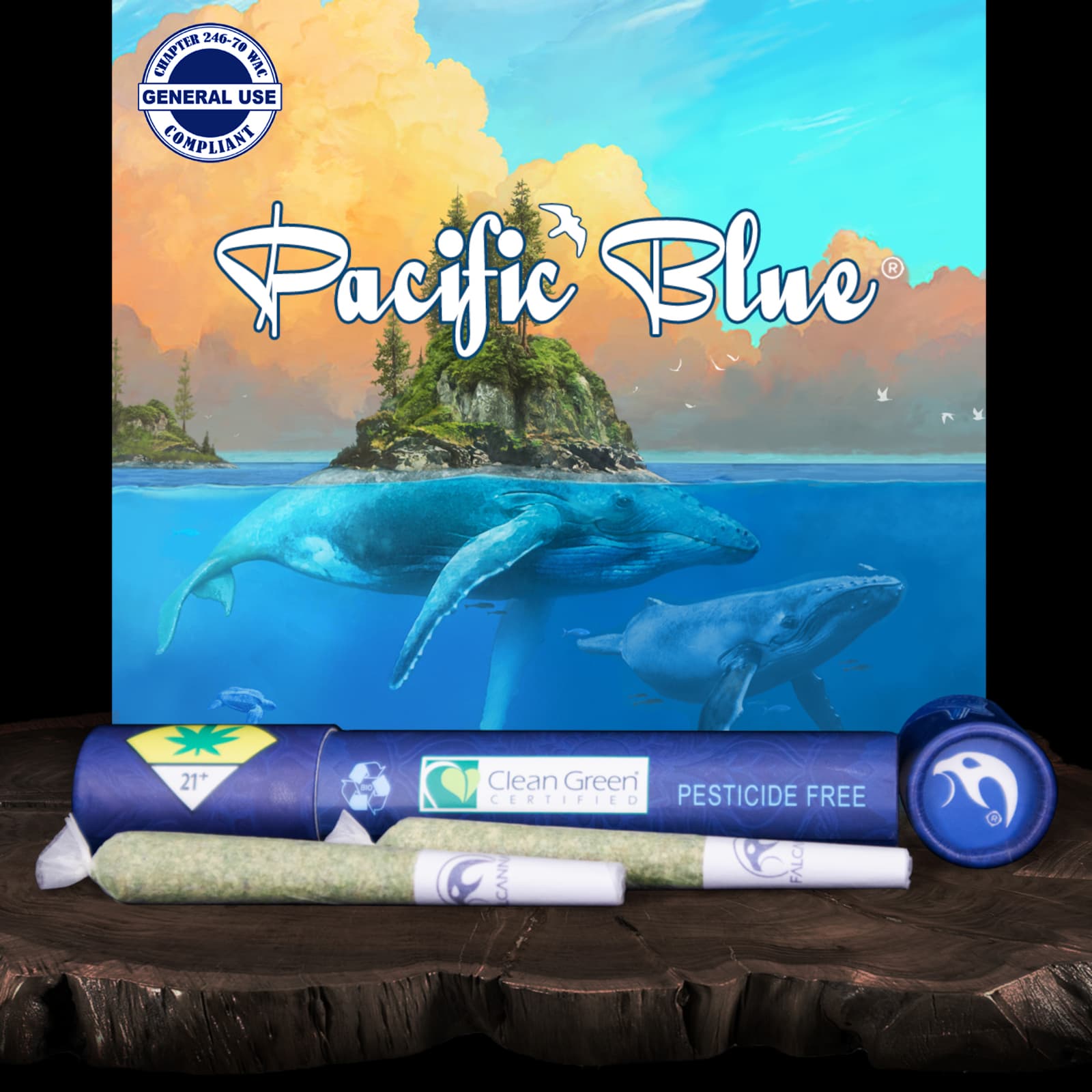 Falcanna Pacific Blue Pre-Roll 2-pack | 1.2g (DOH)