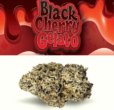 Cookies Black Cherry Gelato | 3.5g