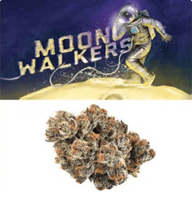 Cookies Moonwalkers Cookies Flower
