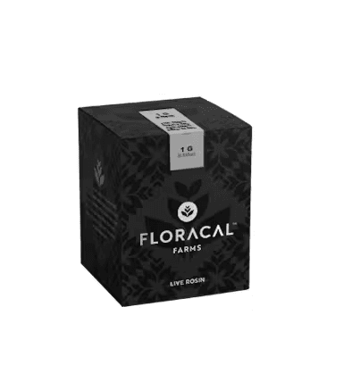 FloraCal Nectarine Jlly Live Rosin | 1g
