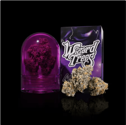 Wizard Trees Tea Time | 3.5g