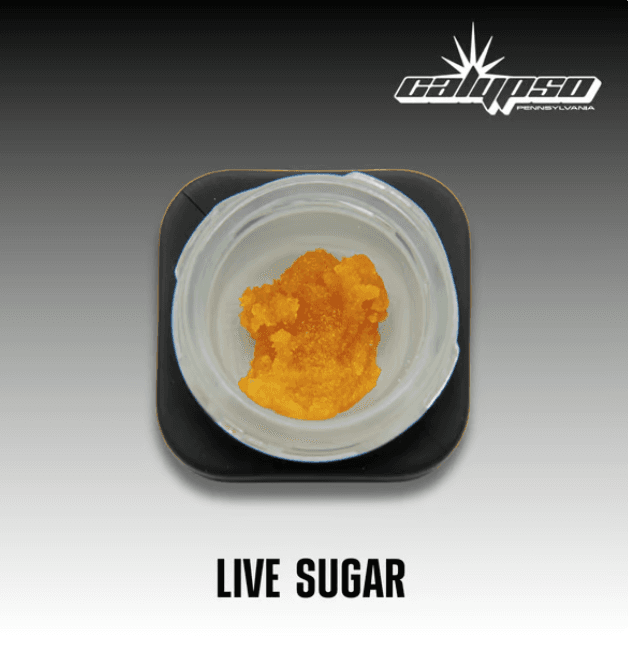 Calypso Lemon Queen Live Sugar | 2g