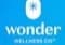 Wonder Wellness Co. Blueberry Relax Sweet Troches [1:2 THC:CBD] 20ct/5mg