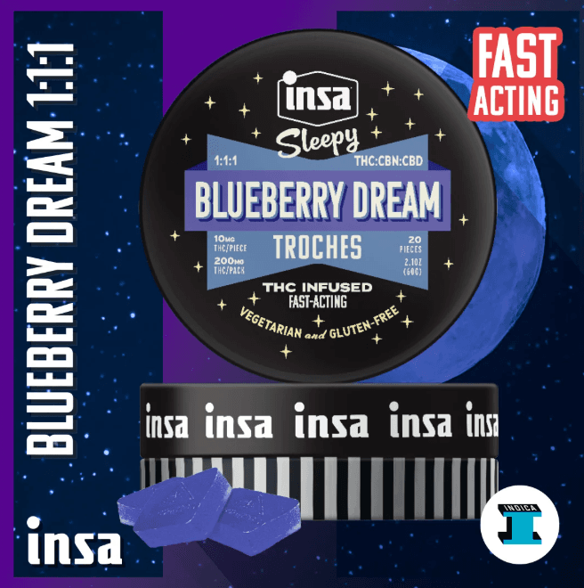 Insa