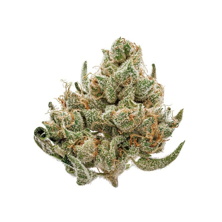 Old School Cool OSC Flower - Durban Poison 3.5g