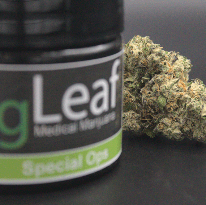 gLeaf Special Ops