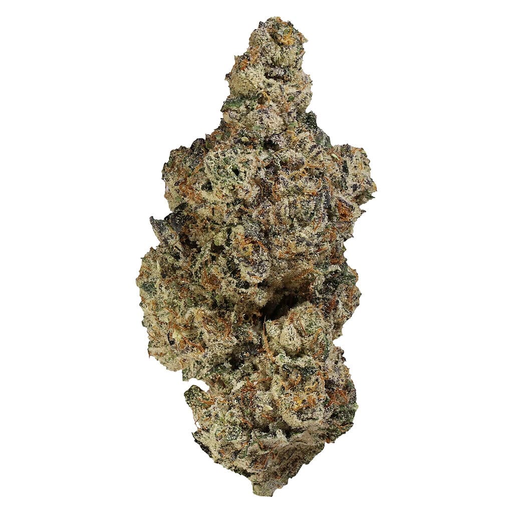 Homestead HOMESTEAD Bandwagon Indica