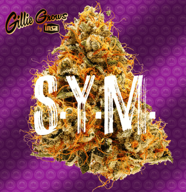 Gillie Grows SYM | 3.5g