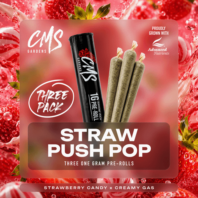 CMS Gardens Strawberry Push-Pop | 1g | 3pk